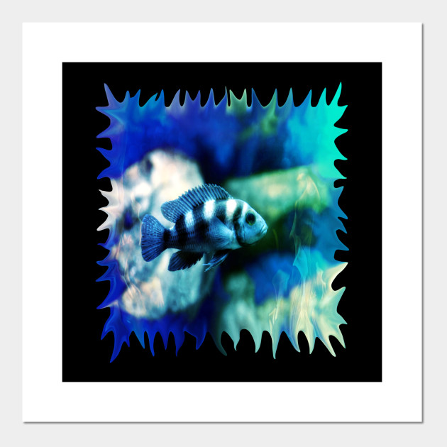 Lonely Fish in a Blue Green Pond